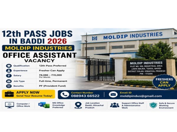 12th Pass Jobs in Baddi 2026 Moldip Industries Office Assistant Vacancy